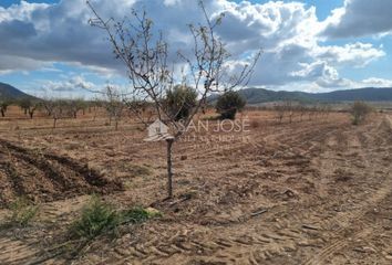 Terreno en  Algueña, Alicante Provincia