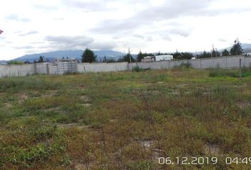 Terreno Comercial en  Puembo, Quito