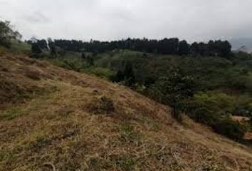 Lote de Terreno en  Cra. 50 #120 Sur 53 Lc 102, Caldas, Antioquia, Colombia