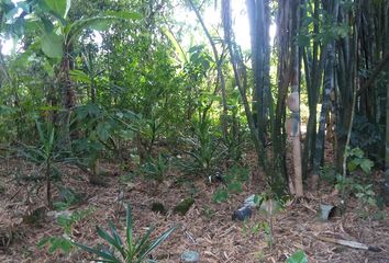 Lote de Terreno en  Hueypoxtla, Estado De México