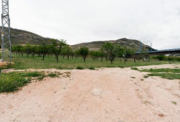 Terreno en  Alhama De Aragon, Zaragoza Provincia