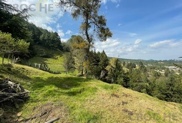 Lote de Terreno en  Las Vigas De Ramírez, Veracruz