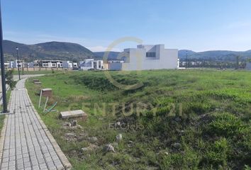 Lote de Terreno en  Fraccionamiento Lomas De  Angelópolis, San Andrés Cholula