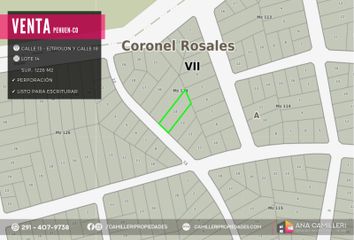 Terrenos en  Calle 13, Balneario Pehuen Co, Coronel De Marina L Rosales, B8109, Buenos Aires, Arg