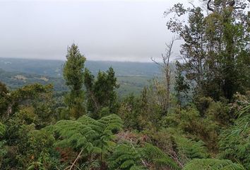 Parcela en  Purranque, Osorno