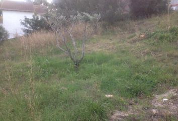 Terreno en  Bellvei, Tarragona Provincia