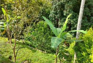 Lote de Terreno en  Kennedy, Pereira