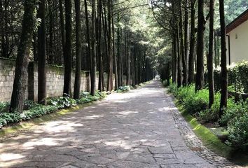 Lote de Terreno en  Juárez (los Chirinos), Ocoyoacac