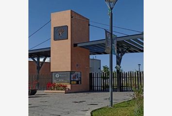 Departamento en  Las Quintas, Torreón