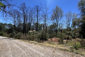 Lote de Terreno en  Tapalpa, Tapalpa, Tapalpa, Jalisco