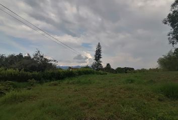 Lote de Terreno en  Cerritos, Pereira