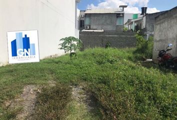 Lote de Terreno en  La Castellana, Montería