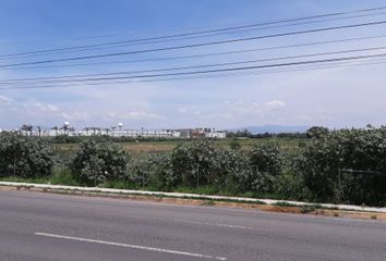 Lote de Terreno en  El Pueblito, Corregidora, Corregidora, Querétaro