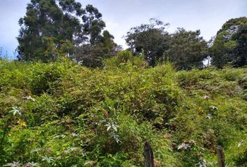 Lote de Terreno en  Cra. 56 #42-145, Rionegro, Antioquia, Colombia