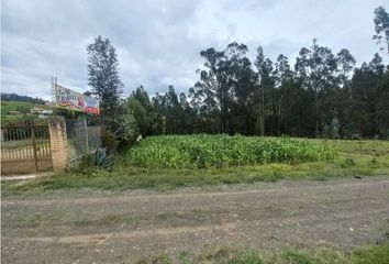 Terreno Comercial en  San Blas, Cuenca