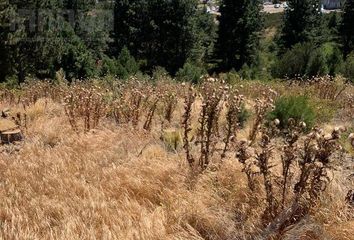 Terrenos en  Otro, San Carlos De Bariloche