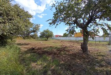 Lote de Terreno en  Pueblo Anenecuilco Centro, Ayala