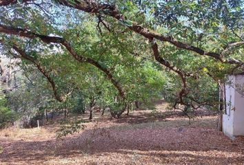 Lote de Terreno en  San Francisco, Santiago, Santiago, Nuevo León