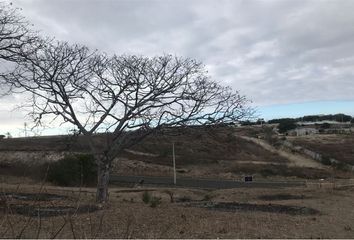 Terreno Comercial en  Tarqui, Manta