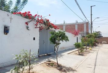 43 terrenos en venta en Comas, Lima 