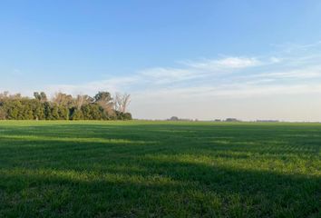 Terrenos en  Cortines, Partido De Luján