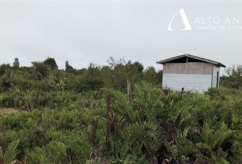 Parcela en  Puerto Varas, Llanquihue