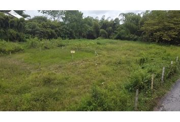 Lote de Terreno en  Sector Centro, Armenia