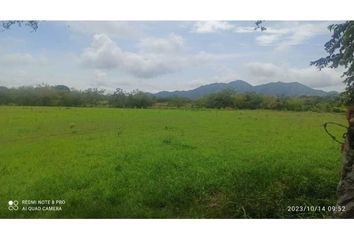 Lote de Terreno en  Santa Helena, Ibague