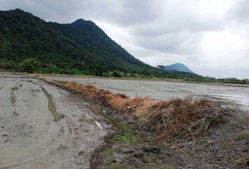 Terreno Comercial en  H9v9+2h Mirador, Ecuador