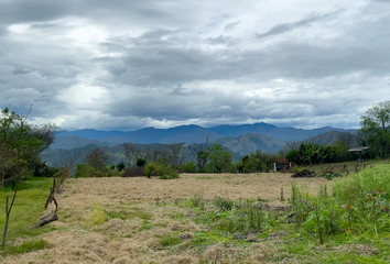 Terreno Comercial en  Malacatos (valladolid), Loja