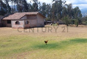 Terreno Comercial en  Tumbaco, Quito