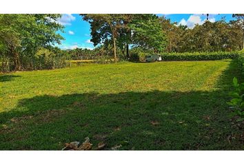 Lote de Terreno en  Carmen De Apicalá, Tolima