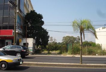 Lote de Terreno en  Sierra Morena, Tampico