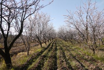 Terrenos en  Maipú, Mendoza