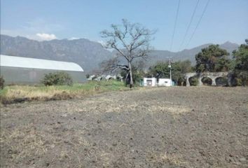 Lote de Terreno en  62545, Tlayacapan, Morelos, Mex