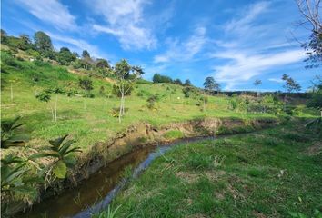 Lote de Terreno en  San Vicente, Antioquia