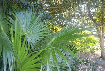 Lote de Terreno en  Puerto Aventuras, Solidaridad, Quintana Roo