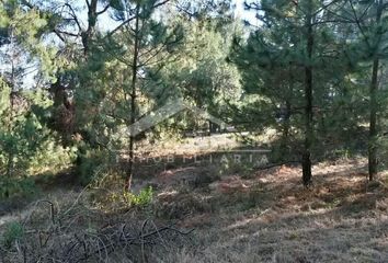 Lote de Terreno en  Pátzcuaro, Pátzcuaro, Pátzcuaro, Michoacán