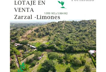 Lote de Terreno en  Zarzal, Valle Del Cauca