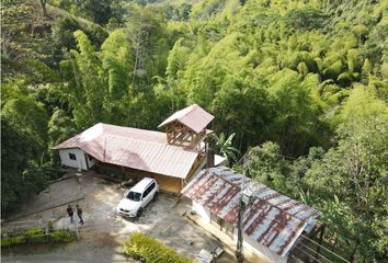 Villa-Quinta en  Sevilla, Valle Del Cauca