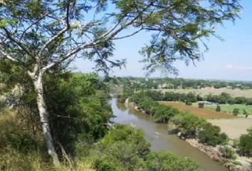 Lote de Terreno en  Pueblo Tilzapotla, Puente De Ixtla