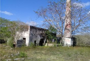 Casa en  Calotmul, Yucatán
