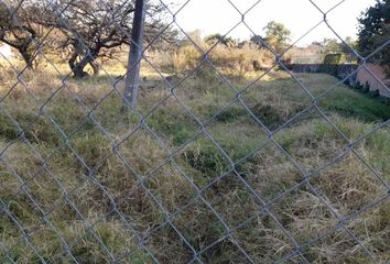 Lote de Terreno en  Centro Jiutepec, Jiutepec, Morelos