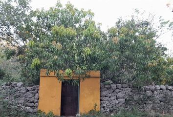 Lote de Terreno en  Hunucmá, Yucatán