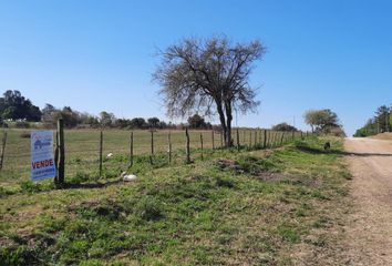 Terrenos en  Victoria, Entre Ríos