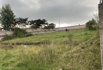 Terreno Comercial en  Alangasí, Quito