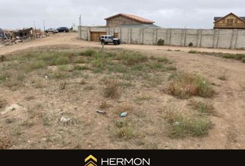 Lote de Terreno en  Reforma, Playas De Rosarito