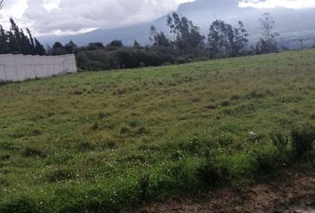 Terreno Comercial en  7qg6+6rm, Ilumán, Ecuador
