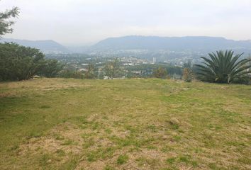 Terreno Comercial en  Calderón, Quito