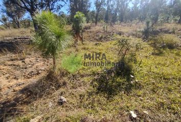 Lote de Terreno en  Emiliano Zapata, Morelia, Morelia, Michoacán